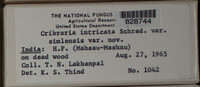 Image Associated With the Occurence